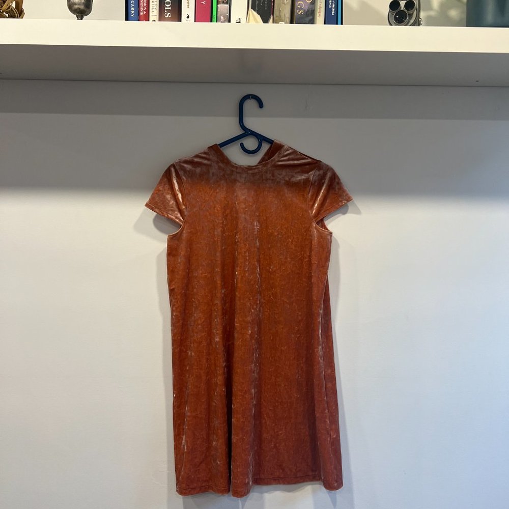 Madewell Dress - Pink Velvet Short Sleeve High Neck